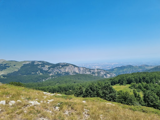 AnimAbruzzo - Visual