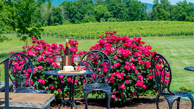 Spout Spring Estates Winery and Vineyard