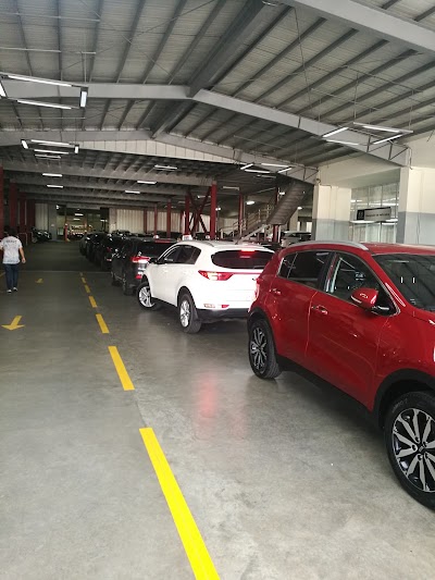 car-dealer
