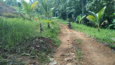 Photos of Putra Panca Travel