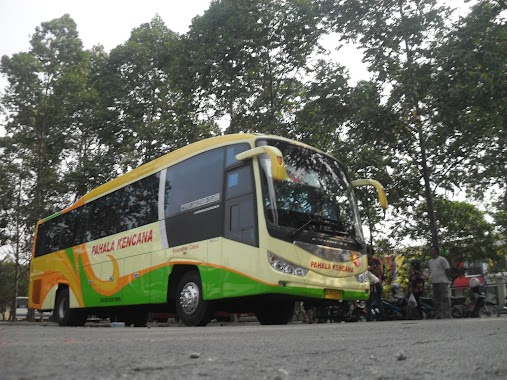 Pahala Kencana Agen Tiket Bus - Terminal Pondok Cabe, Author: faisol basri