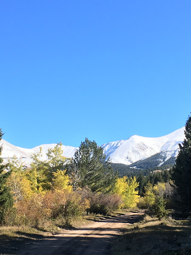 Gold West Realty - Thumbnail