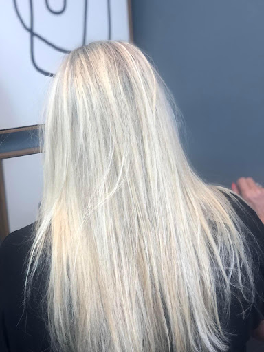 Charles E. Salon - Visual