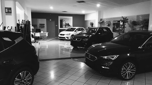 SEAT CUPRA SASSI LEGNANO - Thumbnail