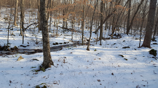 Nathan Hale State Forest - Thumbnail