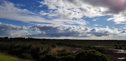 Tooradin Airfield Gallery - Australia