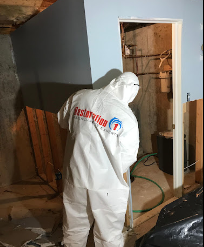 Restoration 1 of South Sound photo