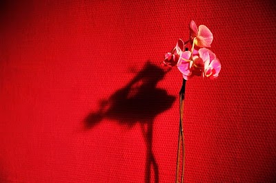 Photos of Tantra Templet