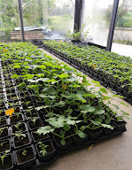 La Ferme des Brindelles à Avezé