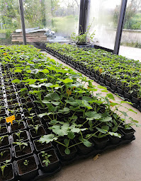 Photo n°1 de La Ferme des Brindelles à Avezé (Magasin d'alimentation naturelle)