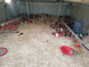 Photo n°30 de Les Vergers de la Galine - G. Boyeau à Villeneuve (Ferme bio)