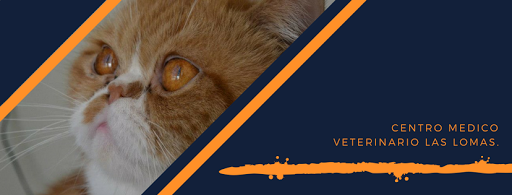 CENTRO MEDICO VETERINARIO "LAS LOMAS"