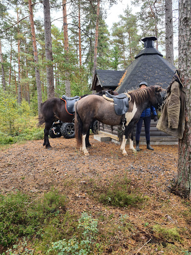 Brobäcks Islandshästar