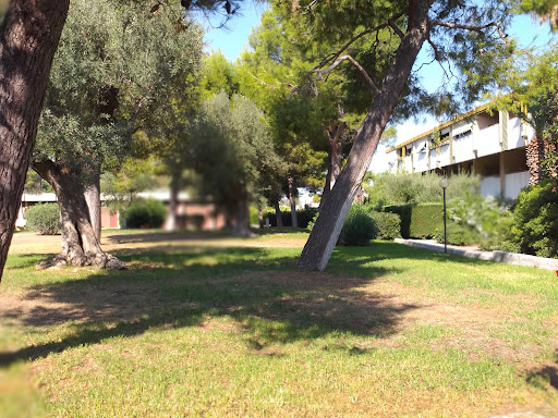 Parchitello - Visual