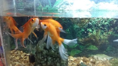 Photos of L'H&Ocirc;TEL KOMOGUEL 光芒阁酒店