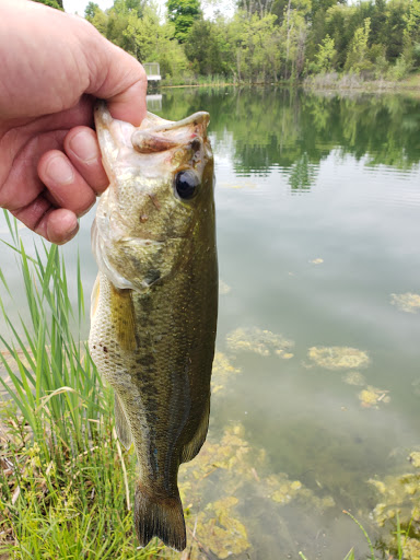 Boulder Pond - Visual