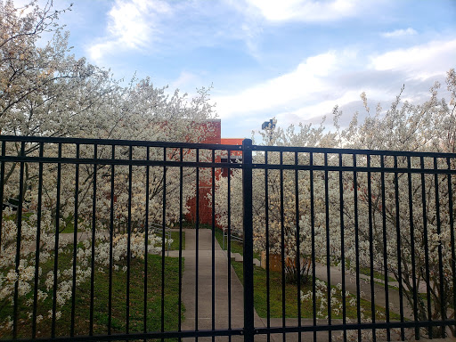East Rock Dog Park - Thumbnail