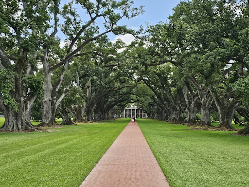 Oak Alley - Thumbnail