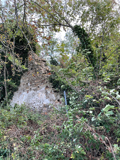 Badia di Voltre - Visual