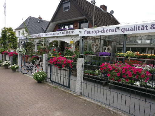 Blumen Hackländer - Visual