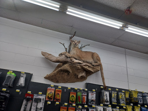 Hurst Ace Hardware - Visual