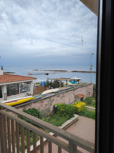 Anagrafe Comune di Santa Marinella