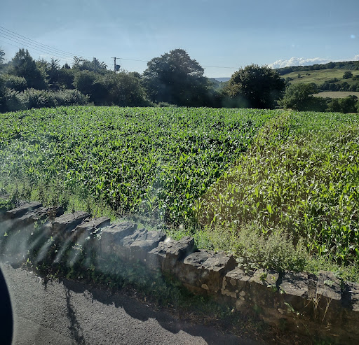 Boadway Junction - Visual