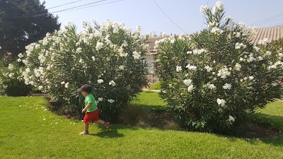 Photos of Distribuidora sanzana