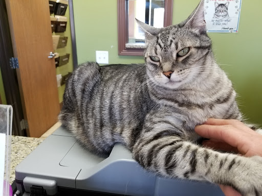 Michigan Avenue Animal Hospital - Thumbnail