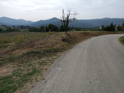 Il Copetone - Visual