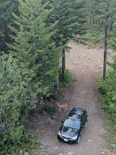 Deer Ridge Lookout - Thumbnail