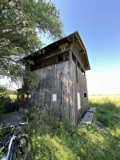 Rietzer See - Visual