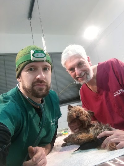Photos of Veterinary Clinic Cibervet Queen &ntilde;u&ntilde;oa santiago
