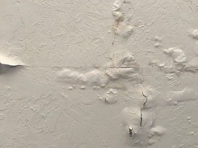 DryEasy water damage Extraction photo