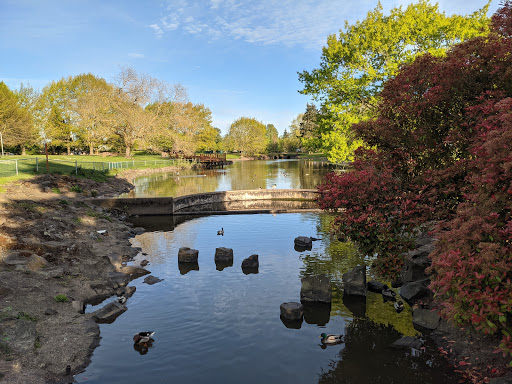 Periwinkle Park - Visual