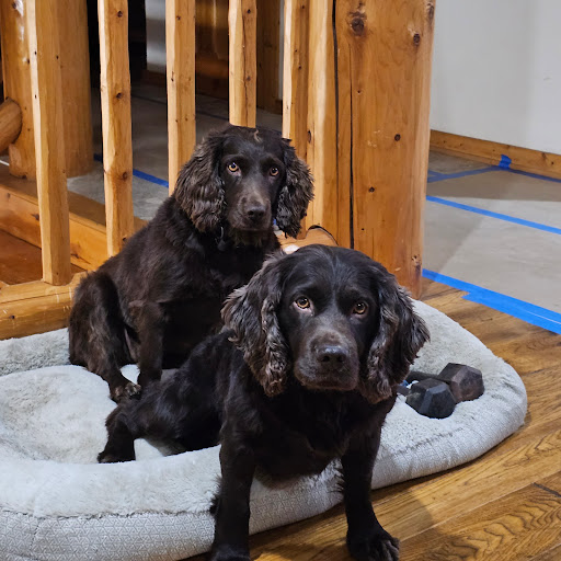 Colbern Road Animal Clinic - Thumbnail