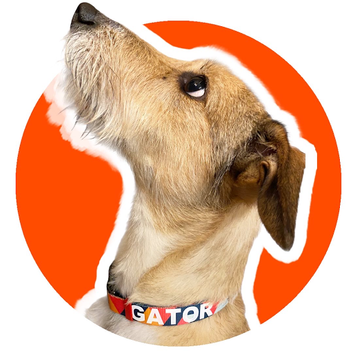 Yappy Tails - Visual