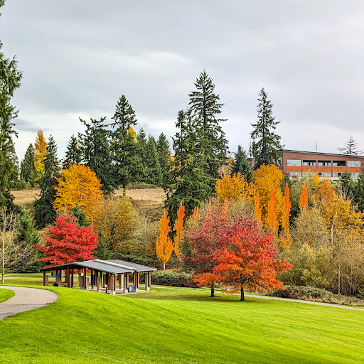 Sammamish Commons - Thumbnail