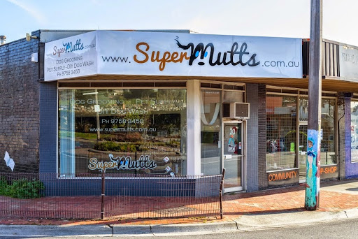 Super Mutts - Visual