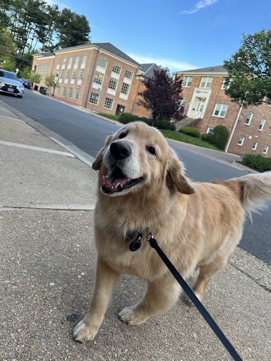 Barkley Square - Visual