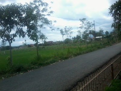 Photos of SD NEGERI 2 PRINGGAJURANG
