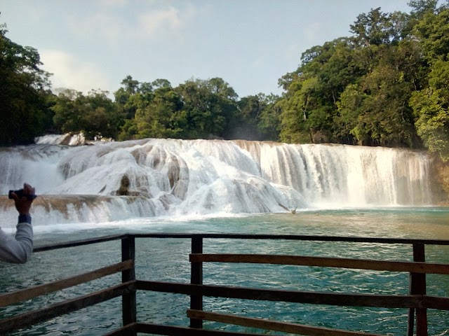 Cañon Del Sumidero