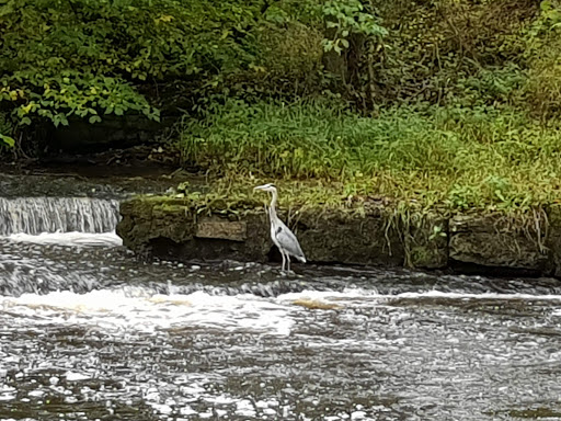 Demesne Mill Picnic Area Gallery - United Kingdom