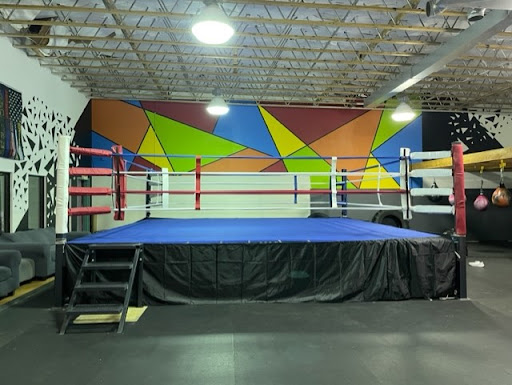 Toe 2 Toe Boxing - Visual