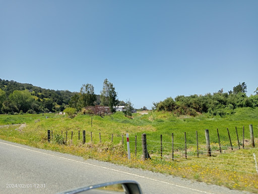 XT88 Vehicle Wash - Waikaraka Holdings Ltd - Thumbnail