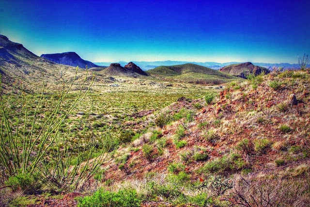 Big Bend National Park