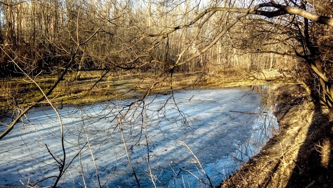 Park Chropaczowski - Jedeek, Author: Jozef Mateja