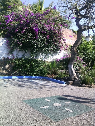 Photos of Sport City Cuernavaca