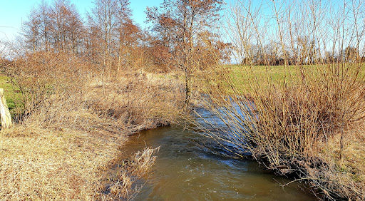 Mühlenau Mündung - Thumbnail