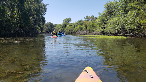Cosumnes River Preserve
